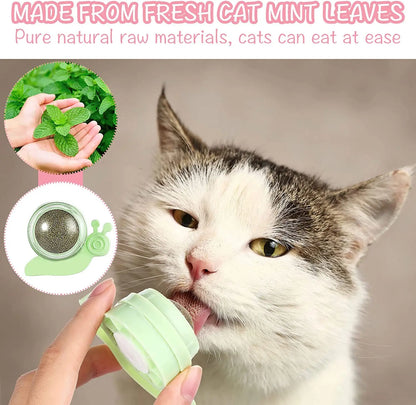 Catnip ball, Chew toy for cats