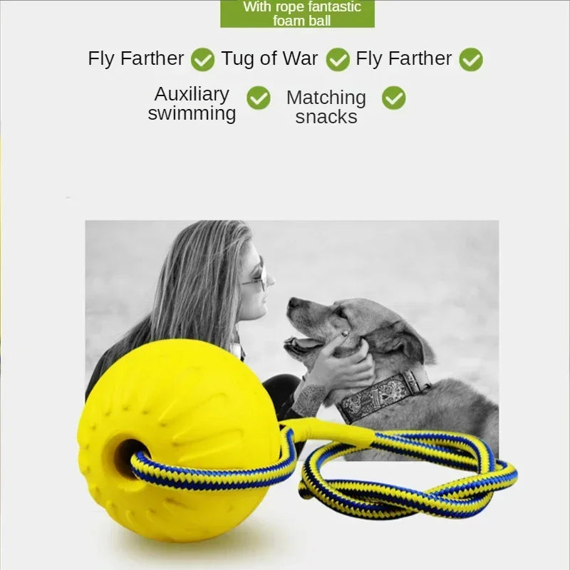 Dog toy ball with rope.