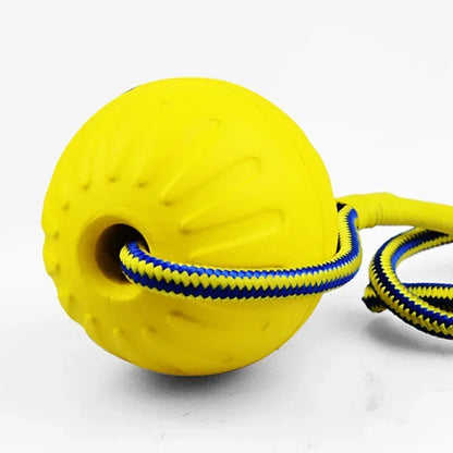 Dog toy ball with rope.