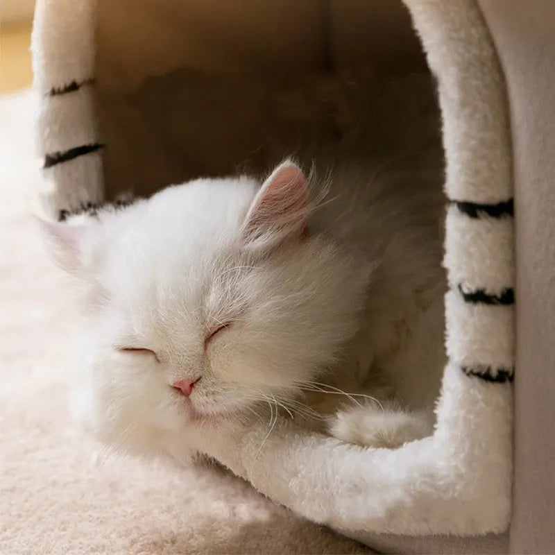 Foldable house for dogs and cats