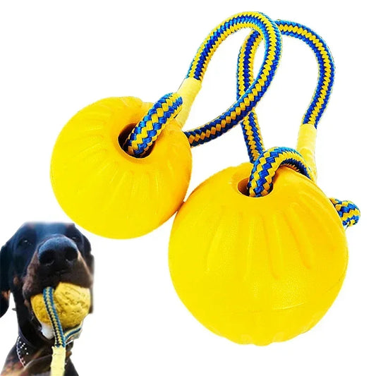 Dog toy ball with rope.