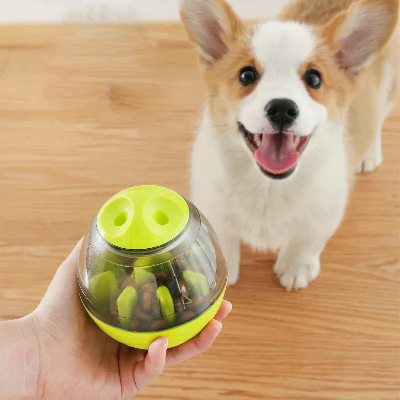 Pet Snack Dispenser Toy