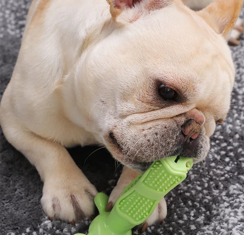 Dog Toothbrush Chew Toy